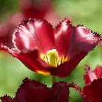شقة Luis Bader Haus - Mit Garten Und Berg-, Seenaehe ليتشبروك